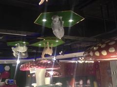 塔卡超级真人密室逃脱-H次元沉浸剧情密室(街道口店)