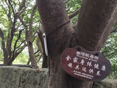 -普陀山风景区-佛顶山