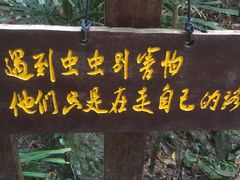 -七仙岭温泉国家森林公园