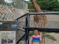 -泉州海丝野生动物世界