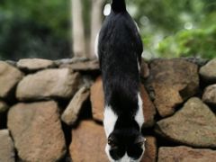 -杭州六谷生态休闲农庄有限公司