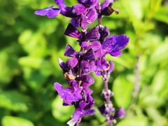 -上海山野camping·户外天幕烧烤·团建拓展营地