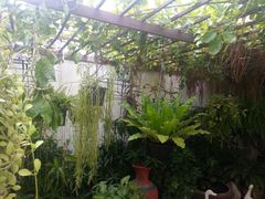 -曼谷王子宫殿酒店