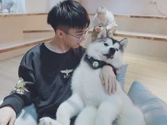 -Husky Go! 哈士奇体验馆·宠物咖啡厅狗咖