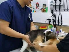 -爱侣宠医·鹦鹉专科·小型哺乳类·异宠专科(灵石路店)