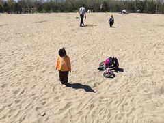 -东郊湿地公园