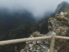 -牛背梁国家森林公园