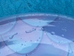 -重庆海昌加勒比海水世界