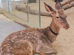-龙湖南京江北天街