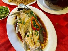 -先鲜鲫鱼粥