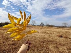 -良渚古城遗址公园