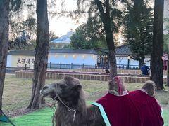 -深圳锦绣中华民俗村