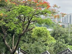 -广州神农草堂中医药博物馆