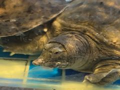 -奢谷·海鲜自助(南海万科店)