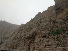景点-长岛万鸟岛