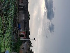 -苏家围·东江画廊旅游景区