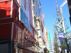 -秋叶原电器街