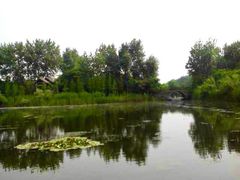 -溱湖国家湿地公园