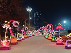 -沈阳奥体冰雪嘉年华