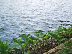 -南国桃园旅游度假区