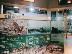 -老傅家湘潭水煮活鱼店(众一国际店)