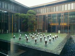 -上海崇明金茂凯悦酒店