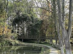 -桤木河湿地公园