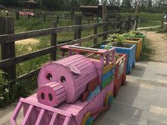 -田园东方蜜桃村的田野营地