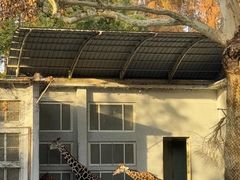 -上海动物园(地铁站)