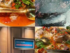 -坛宗剁椒鱼头(河西王府井店)