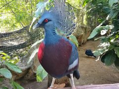 -清迈夜间动物园