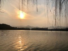 -西湖外事游船(花港观鱼码头)