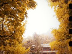-潭柘寺景区