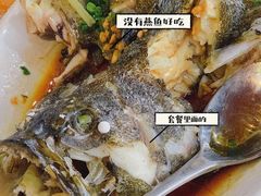 广式蒸石斑鱼-蓝湾碧波·老字号·疍家非遗海上餐厅