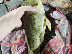 -酷鱼垂钓CLUB(朝阳区博大路店 )