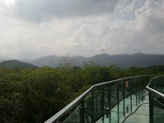 -陶祖圣境风景区