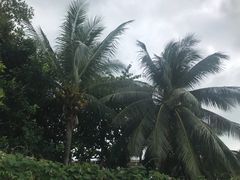 -马来西亚美食街