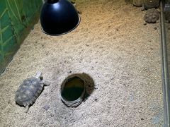 -海合安天津极地海洋公园