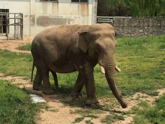 -西安秦岭野生动物园