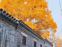 -北京国子监胡同