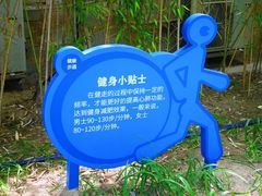 -大兴滨河森林公园