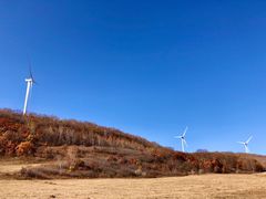 -塞罕坝国家级自然保护区