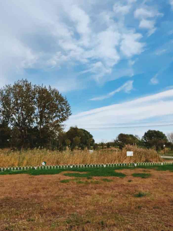 天竺公园-"天竺公园可是好.每周在这里跑步四五次.这.