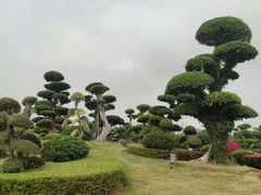 -南宁南湖公园
