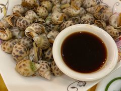 白灼旺螺-莲花公园煎蟹(总店)