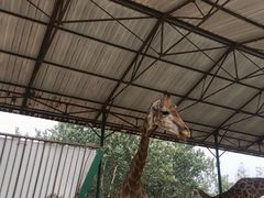 -秦皇岛野生动物园