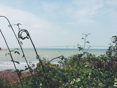 景点-大澳渔村及棚屋