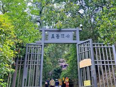-玉苍山国家森林公园