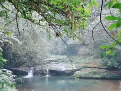 -碧峰峡风景区