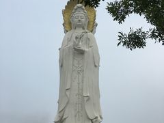 -白洋淀景区